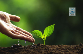 Environmental Protection